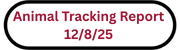 Animal Tracking Report 12825