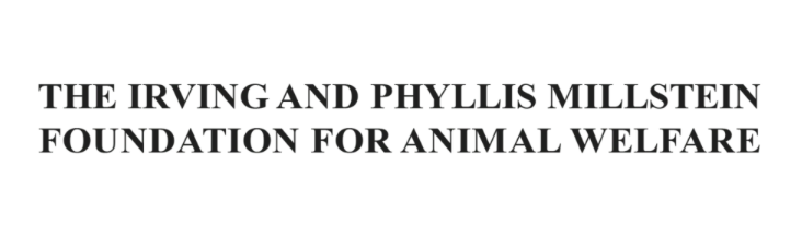Irving and Patricia Millstein Foundation for Animal Welfare