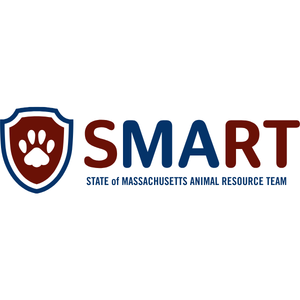 SMART logo