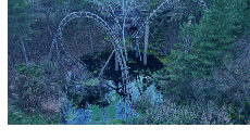 Why Accurate Data Saves Lives — Especially for Captive Animals - 12/8/25