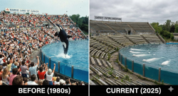 Why Accurate Data Saves Lives — Especially for Captive Animals - 12/8/25